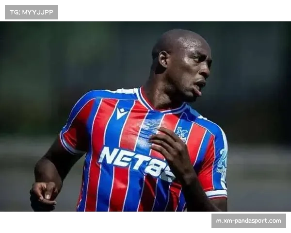 托特纳姆热刺对阵水晶宫 澳波边路进攻策略制胜